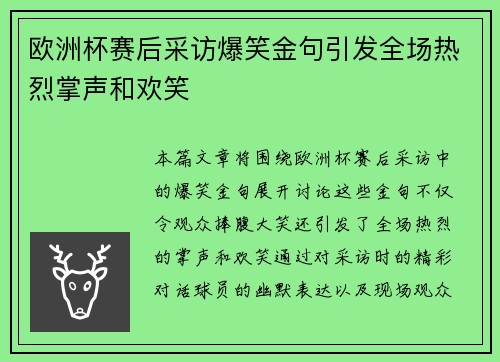 欧洲杯赛后采访爆笑金句引发全场热烈掌声和欢笑